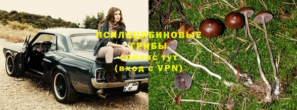 синтетический гашиш Абинск