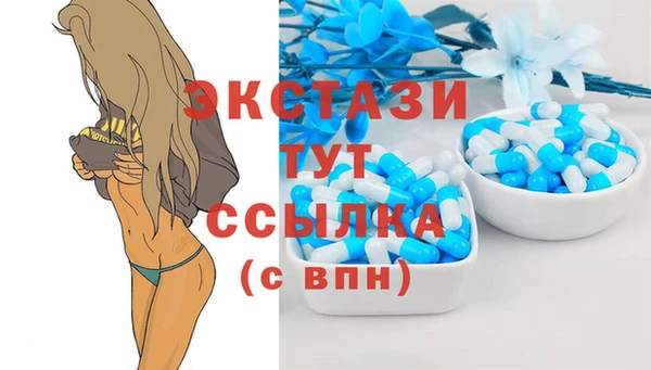 гидра Алексеевка
