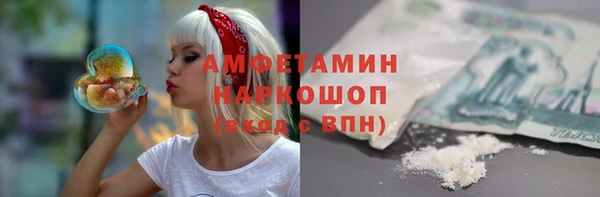 гидра Алексеевка
