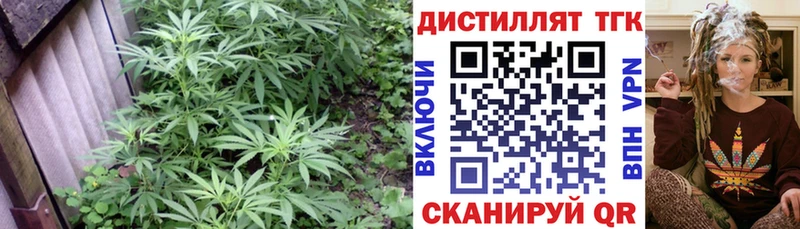 магазин наркотиков Арсеньев ТГК гашишное масло